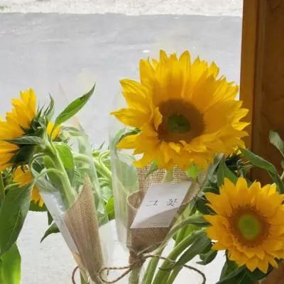 爱游戏中国官方网站