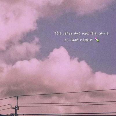 盈彩网手机app下载